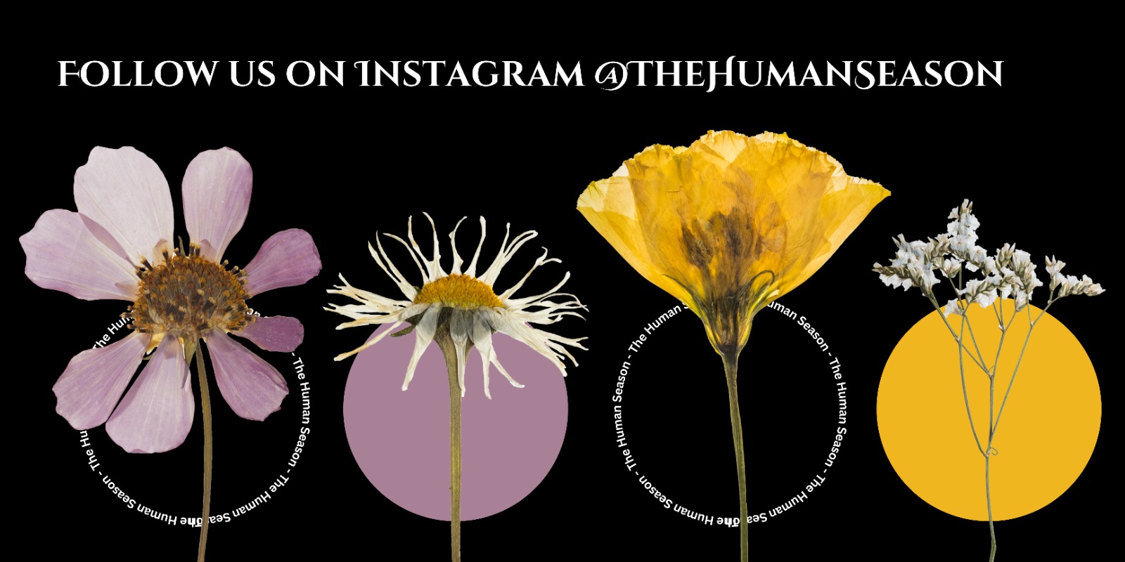 The graphic contains the following text 'Follow us on Instagram @thehumanseason', above four edited images of flowers in bright colours.